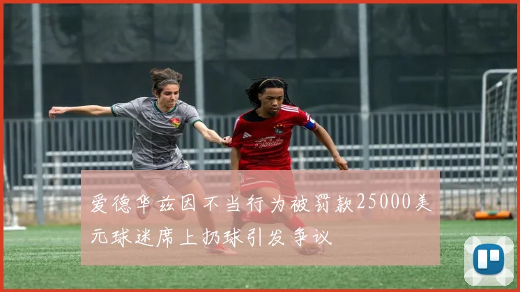 爱德华兹因不当行为被罚款25000美元球迷席上扔球引发争议